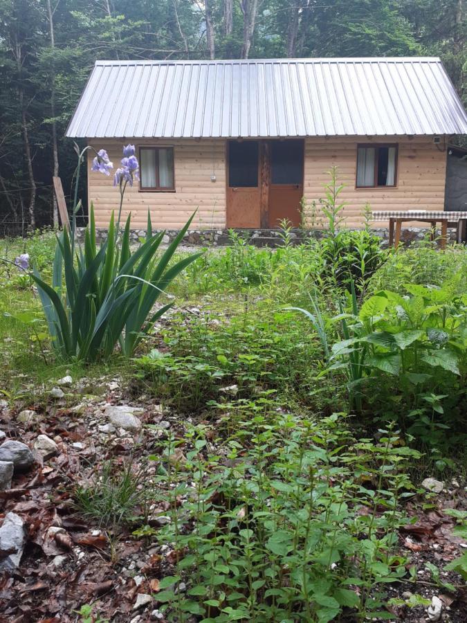 Guesthouse Dioni ヴァルボナ エクステリア 写真